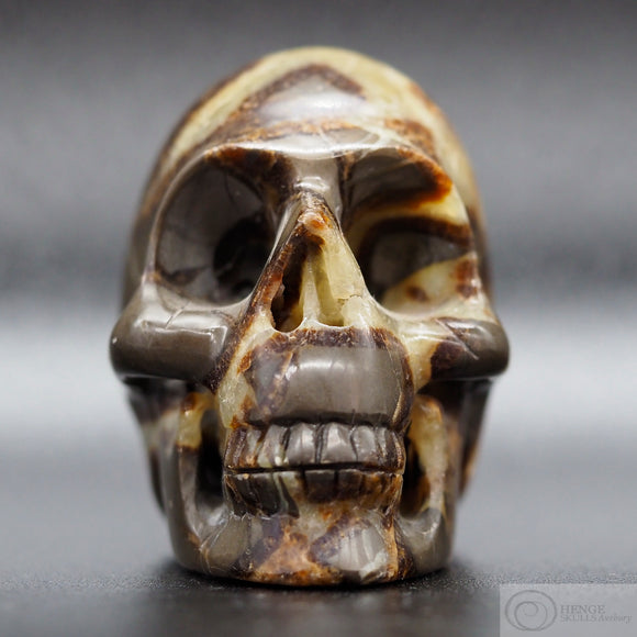 Septarian Human Skull (Sep03)