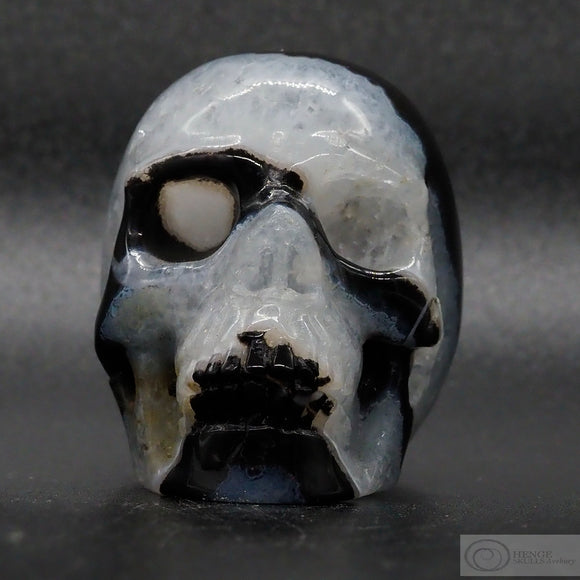 Zebra Stone Human Skull (ZS02)