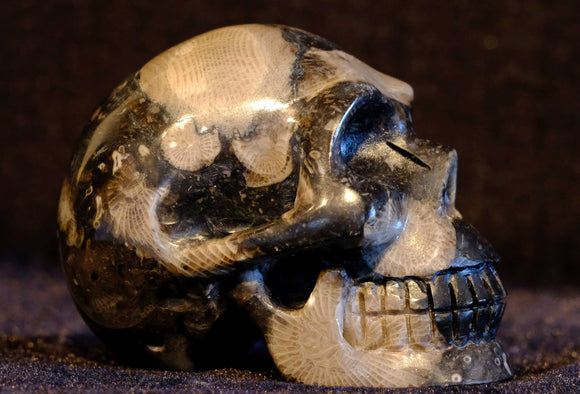 Frosterly marble black, grey & beige mollusc patterened crystal skull