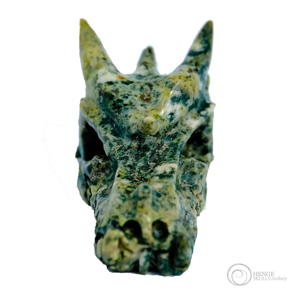 Dragon Skulls