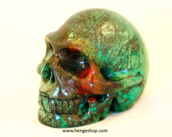 Sold Skulls & Beings