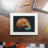 Sedona Jasper Skull  -  Fine Art Print and Passepartout Paper Frame