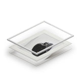 Black Quartz Skull  -  Fine Art Print and Passepartout Paper Frame