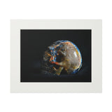 Pietersite Skull - Fine Art Print and Passepartout Paper Frame