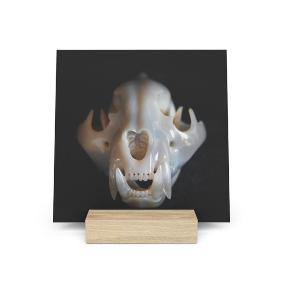 Agate Jaguar Skull - Print with Wooden Stand