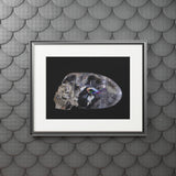 Rainbow Quarts Skull -  Fine Art Print and Passepartout Paper Frame