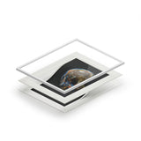 Pietersite Skull - Fine Art Print and Passepartout Paper Frame
