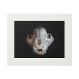 Agate Jaguar Skull  -  Fine Art Print and Passepartout Paper Frame