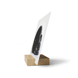 Black Quartz Skull - Print with Wooden Stand