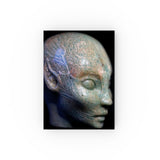 Siberian Amazonite and Tiger Eye Star Faery - Double Sided Notebook