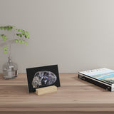 Rainbow Quartz Skull - Print with Wooden Stand