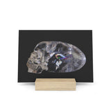 Rainbow Quartz Skull - Print with Wooden Stand