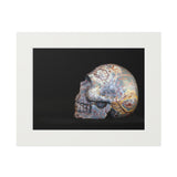 Dendritic Mirror Skull  -  Fine Art Print and Passepartout Paper Frame
