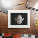 Agate Jaguar Skull  -  Fine Art Print and Passepartout Paper Frame