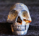 Sapphire Skull (Sapp09)