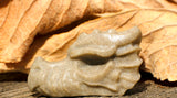 Sarsen Dragon Head