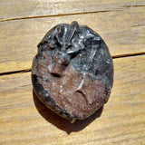 Frosterley Marble Dragon Palmstone