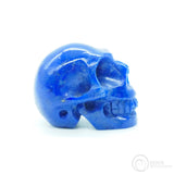 Lapis Lazuli Skull (LL14)