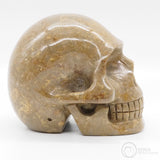 **RESERVED** Sarsen Stone Skull (Sar19)