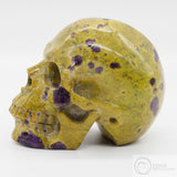 **RESERVED** Atlantisite Skull (Atl05)