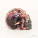 Fluorite Skull (Flu17)