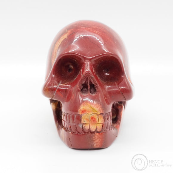 Coprolite Skull (CL01)