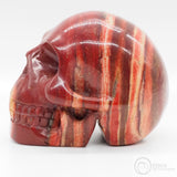Coprolite Skull (CL01)