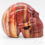 Coprolite Skull (CL01)