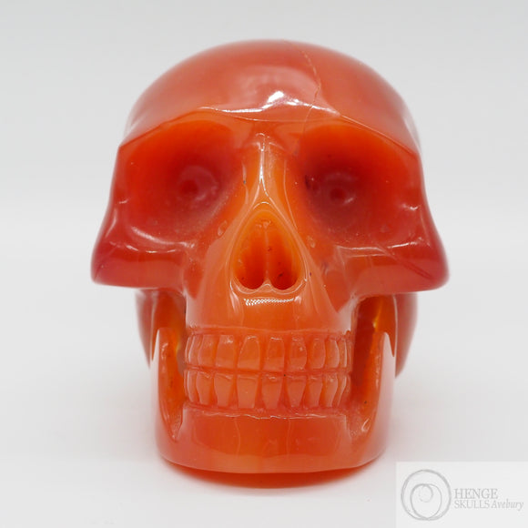 **RESERVED** Carnelian Skull (Car32)