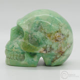 Magnesium Skull (Mag03)