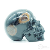 Blue Tiger Eye Skull (BTE