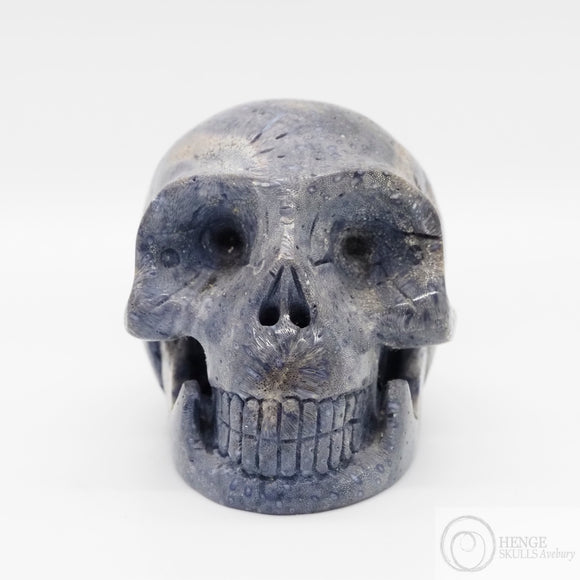 Blue Coral Skull (BCo01)