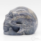 Blue Coral Skull (BCo01)