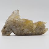 Smoky Quartz Skull (SQ08)