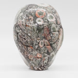 Crinoid Fossil Star Being (CF01)