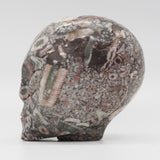 Crinoid Fossil Star Being (CF01)