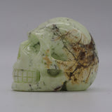Magnesium Skull (Mag04)