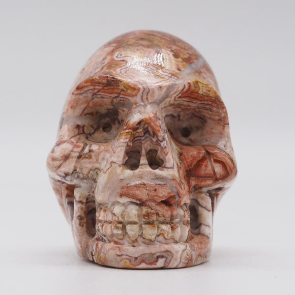 Rosetta Stone Skull (R15)