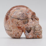 Rosetta Stone Skull (R15)