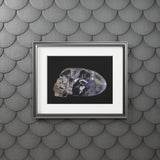 Rainbow Quarts Skull -  Fine Art Print and Passepartout Paper Frame