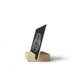 Rainbow Quartz Skull - Print with Wooden Stand