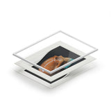 Sedona Jasper Skull  -  Fine Art Print and Passepartout Paper Frame