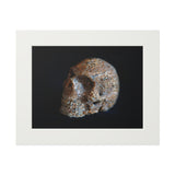 Whale Bone Skull  -  Fine Art Print and Passepartout Paper Frame