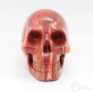 Coprolite Skull (CL02)