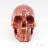 Coprolite Skull (CL02)