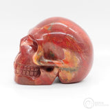 Coprolite Skull (CL02)