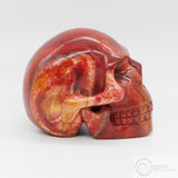 Coprolite Skull (CL02)