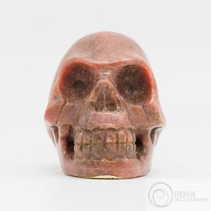 Bustamite Skull (Bus08)