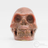 Bustamite Skull (Bus08)