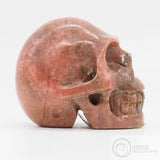 Bustamite Skull (Bus08)